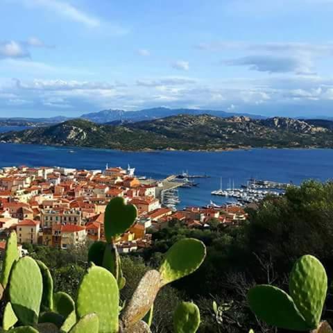 Sweet Home La Maddalena La Maddalena  Eksteriør billede